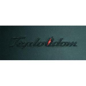 Электрический котел Teplodom i-TRM SILVER StS 12 кВт в Орше