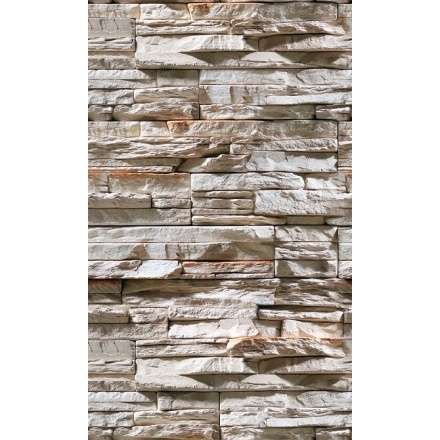 Фиброцементная плита Фаспан Дикий камень №1007 Вертикаль (1200х800х8 мм) купить в Орше