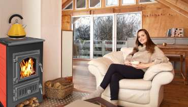 Купить Печь-камин Везувий ПК-02 (205) с плитой талькохлорит 12 кВт в Орше в Орше