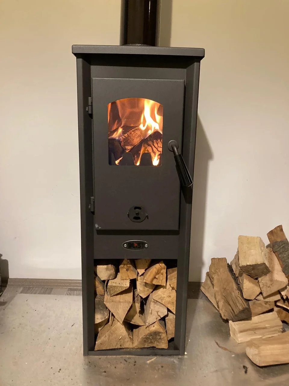 Печь-камин Blist Ekonomik Lux LM N стальная дверца Амазонка бай фото в Орше