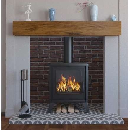 Купить чугунный Печь-камин EVEREST S10 в Орше в Орше