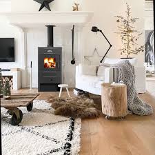 Печь-камин Blist B 2 Амазонка бай фото в Орше