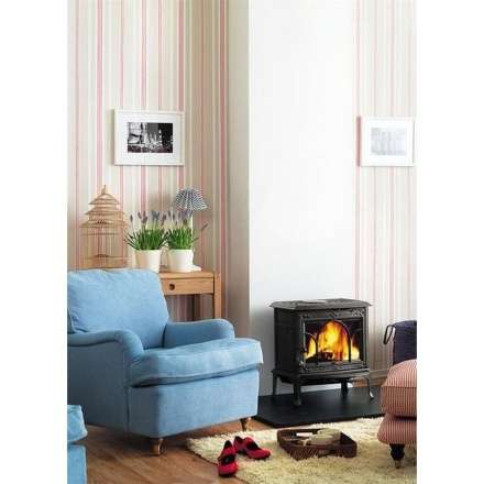 Чугунная печь камин Jotul F100 BP в Орше