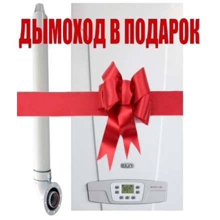 Газовый котел Baxi ECO 4S 1.24F в Орше