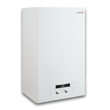 Газовый котел Protherm Пантера 25 KOV (atmo) в Орше