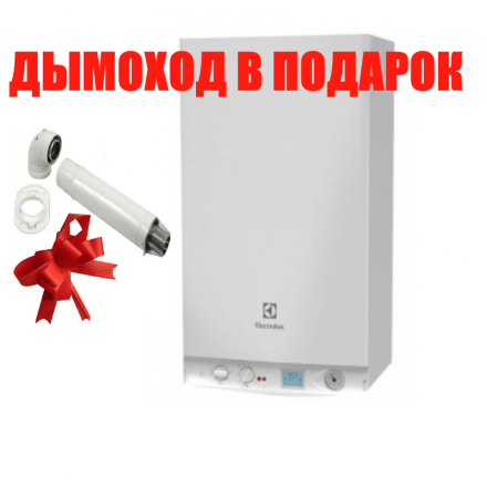 Газовый котел Electrolux GCB 24 Basic Space Duo Fi в Орше