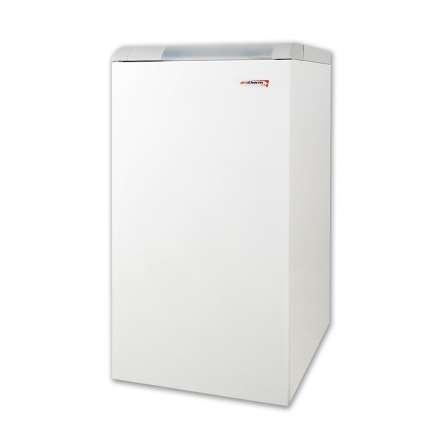 Газовый котел Protherm Медведь 20 KLOM в Орше