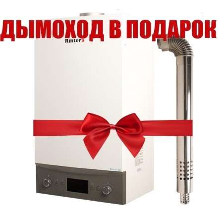 Газовый котел Rihters Econom 26 с дымоходом в Орше