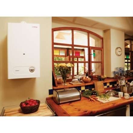 Газовый котел Protherm Тигр 24 KTZ в Орше