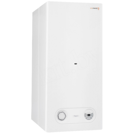 Газовый котел Protherm Тигр 24 KTZ купить в Орше