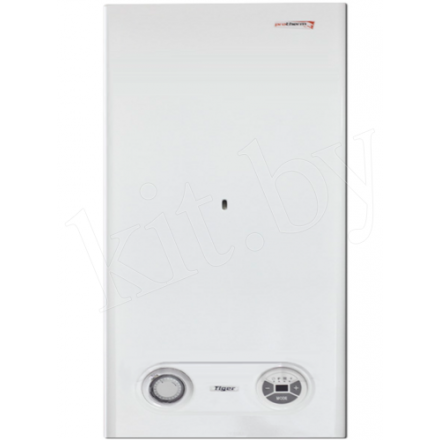 Газовый котел Protherm Тигр 24 KTZ в Орше